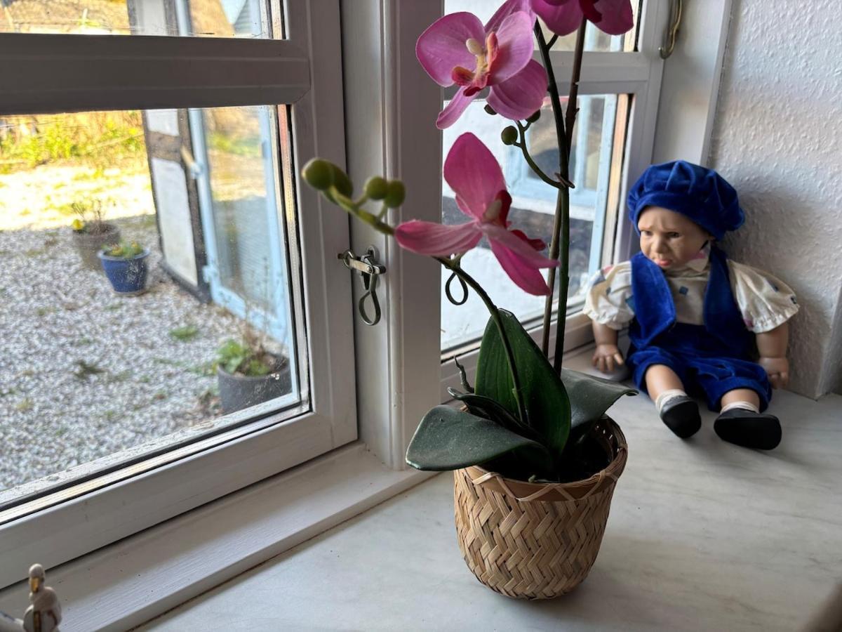 Villa Troldehuset Bogense Esterno foto