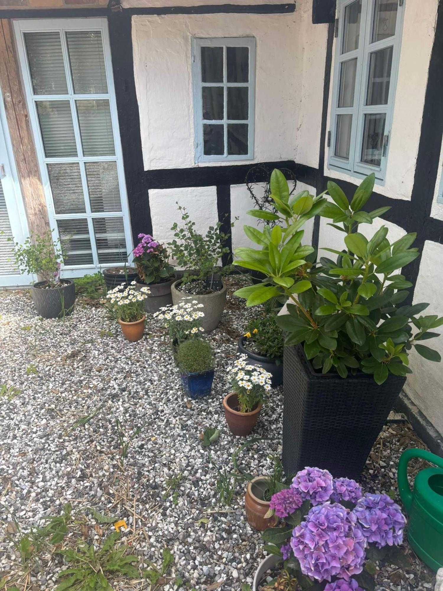 Villa Troldehuset Bogense Esterno foto
